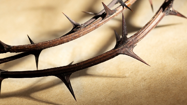 license : https://www.freepik.com/ - id: dibud0808