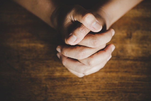 license : https://www.freepik.com/ - id: dibud0808