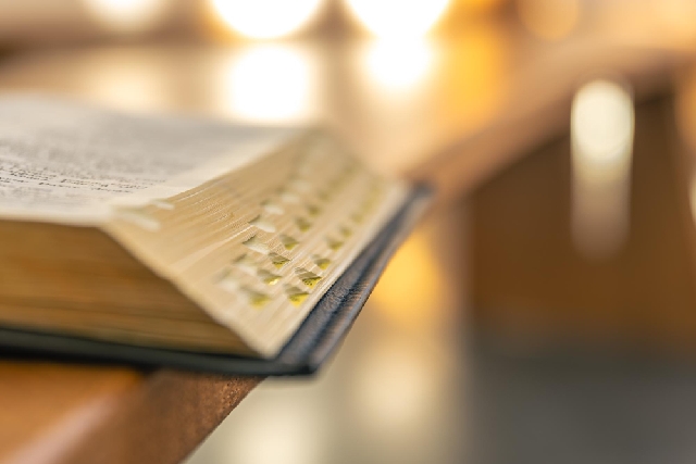 license : https://www.freepik.com/ - id: dibud0808