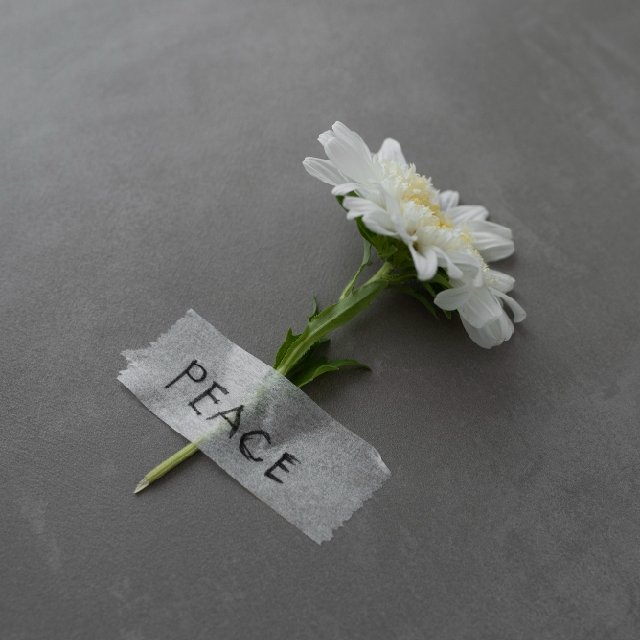 license : https://www.freepik.com/ - id: dibud0808